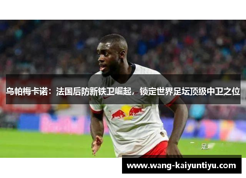 乌帕梅卡诺：法国后防新铁卫崛起，锁定世界足坛顶级中卫之位