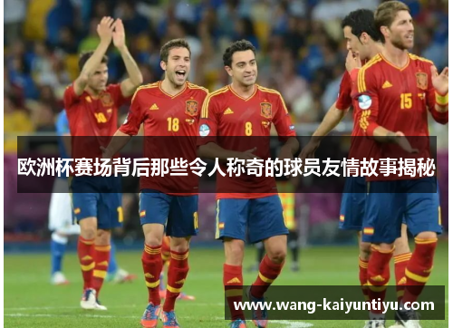 欧洲杯赛场背后那些令人称奇的球员友情故事揭秘