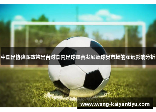 中国足协降薪政策出台对国内足球联赛发展及球员市场的深远影响分析